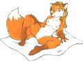 1134801147030_foxyspread.jpg